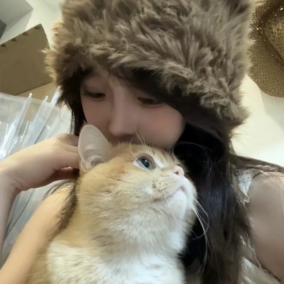终结杉计划